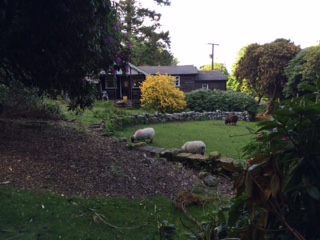 1B51C0E9-133E-447F-A89F-42289BBA5EBE