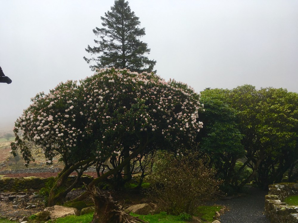 4E4921FF-8282-4A6A-A46D-0CF810172154