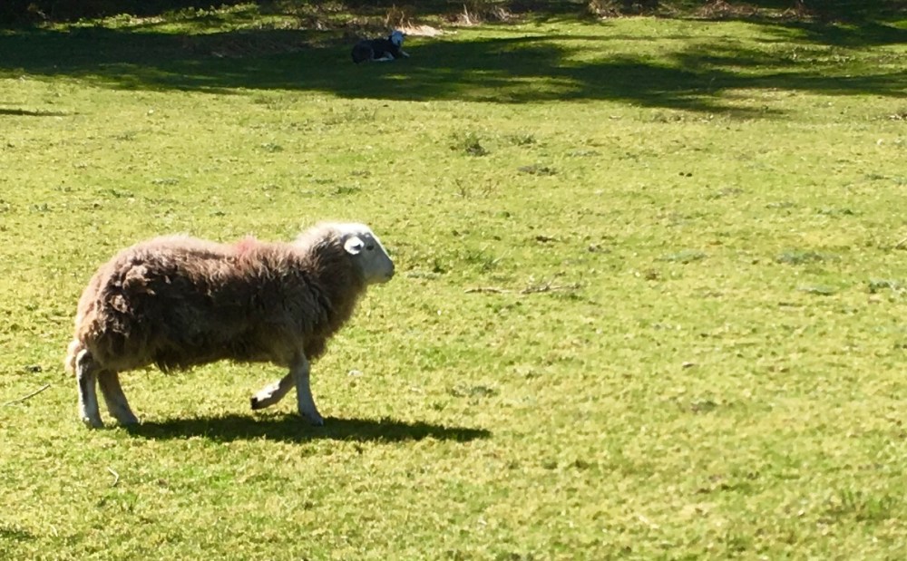 77E4FD0C-4348-45E6-9144-96978406BED1