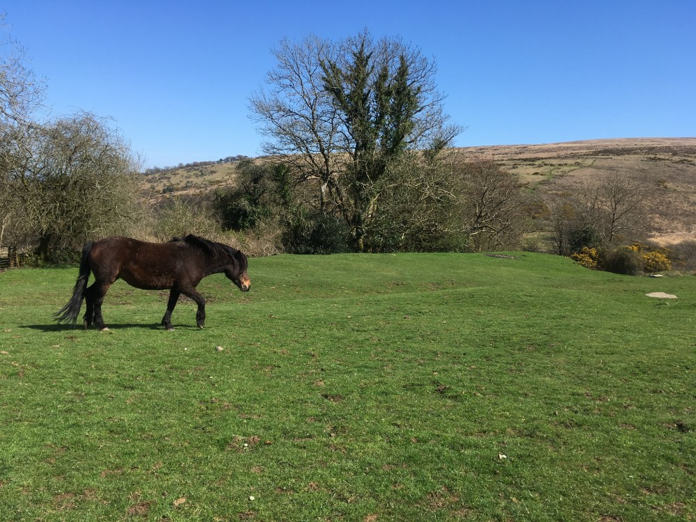 C599143F-1549-4E6A-8644-51DBFBC45092