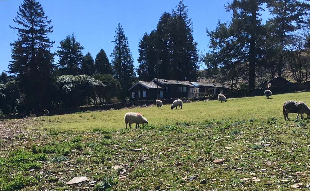 F643F04A-72B5-4EFB-AC8A-2A97CA3C6BBA