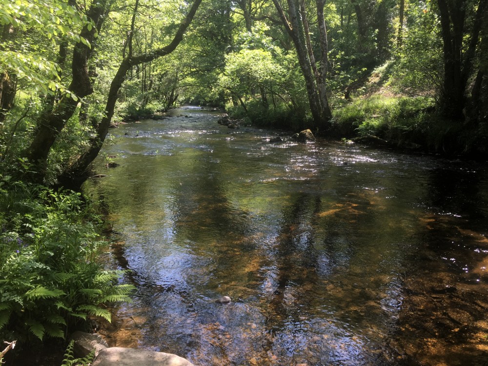 33334223-712E-4708-89C7-280EACF315B0