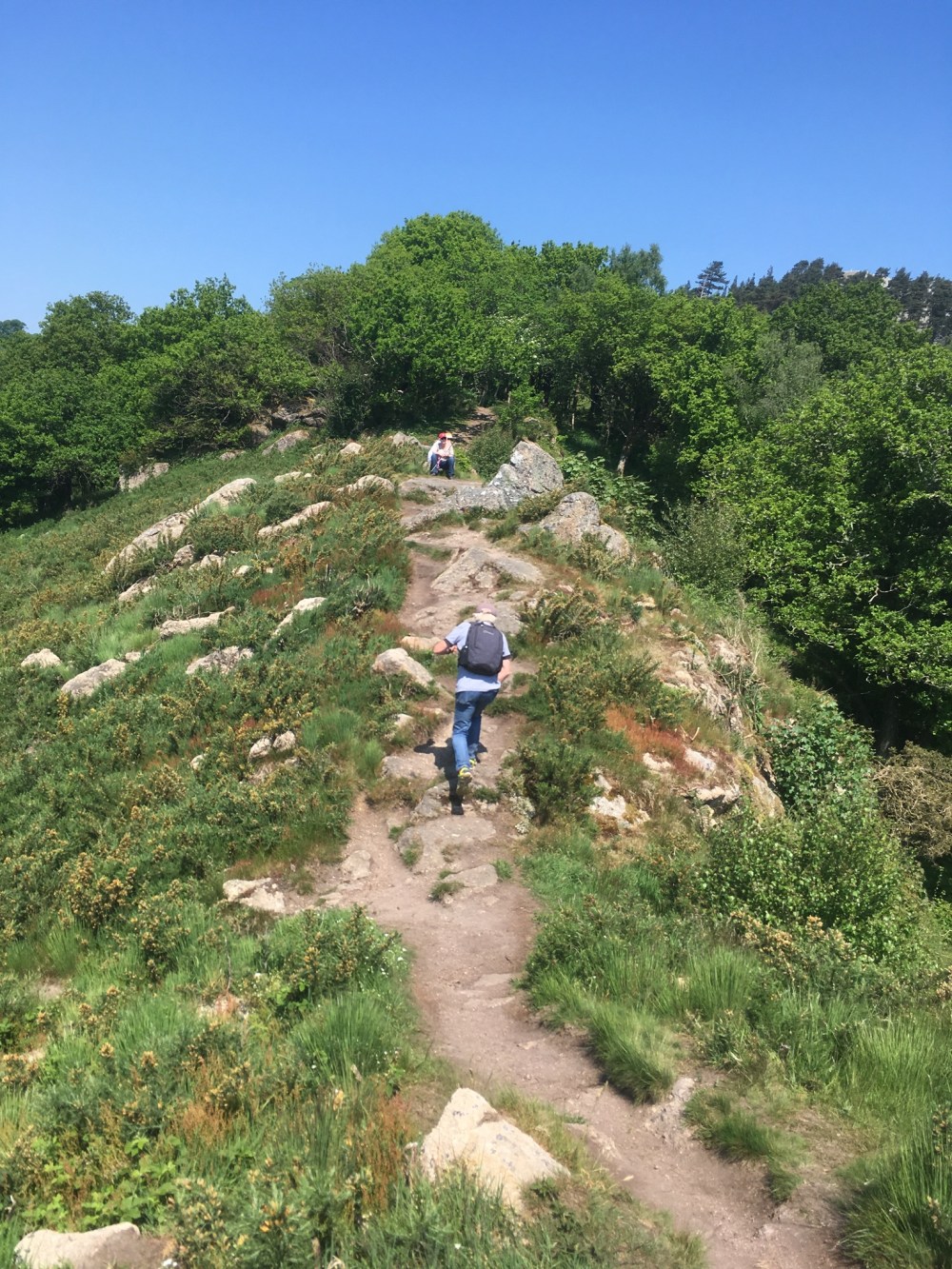 3E471CCA-ED96-4F91-B84D-7C84A49E1983