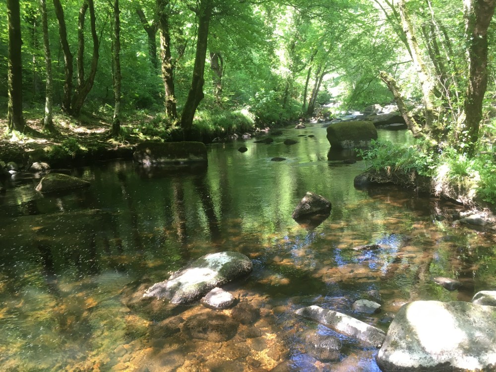 52A861D0-5594-4D1E-BAFE-70FF4CC109FB