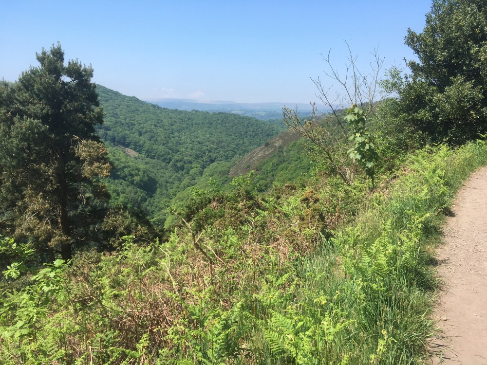 DE7ACCFC-6126-4D0D-9A2C-C90928EFA6D2