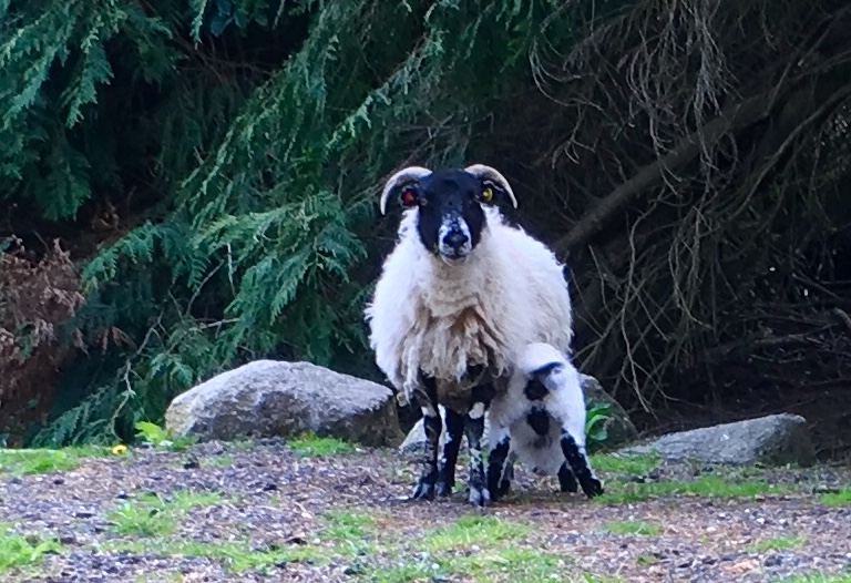 E4F630BB-47BC-4A27-8BBC-737428334155