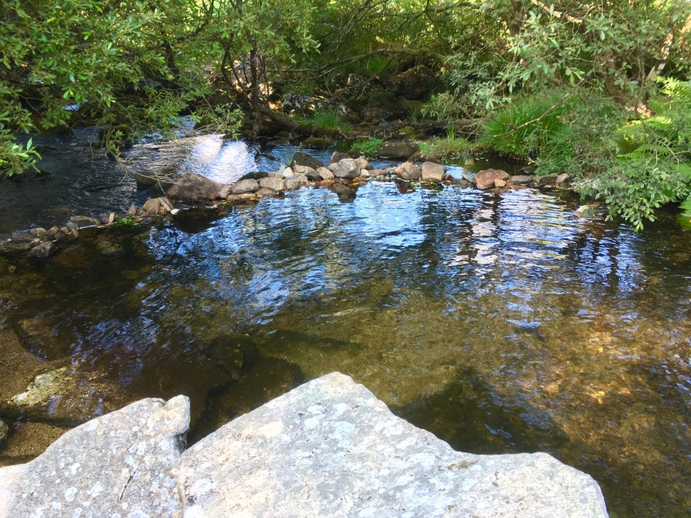 45EEA5EE-11FC-405D-BB07-5015EAA18CA2