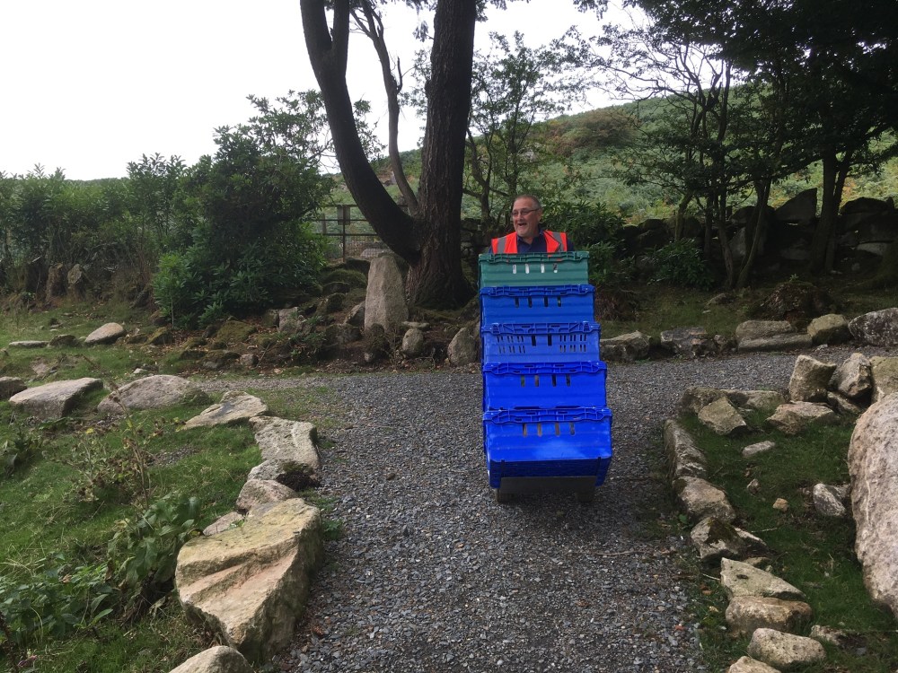 CFD71086-B84A-4AF6-8A33-37FB970F2EEE