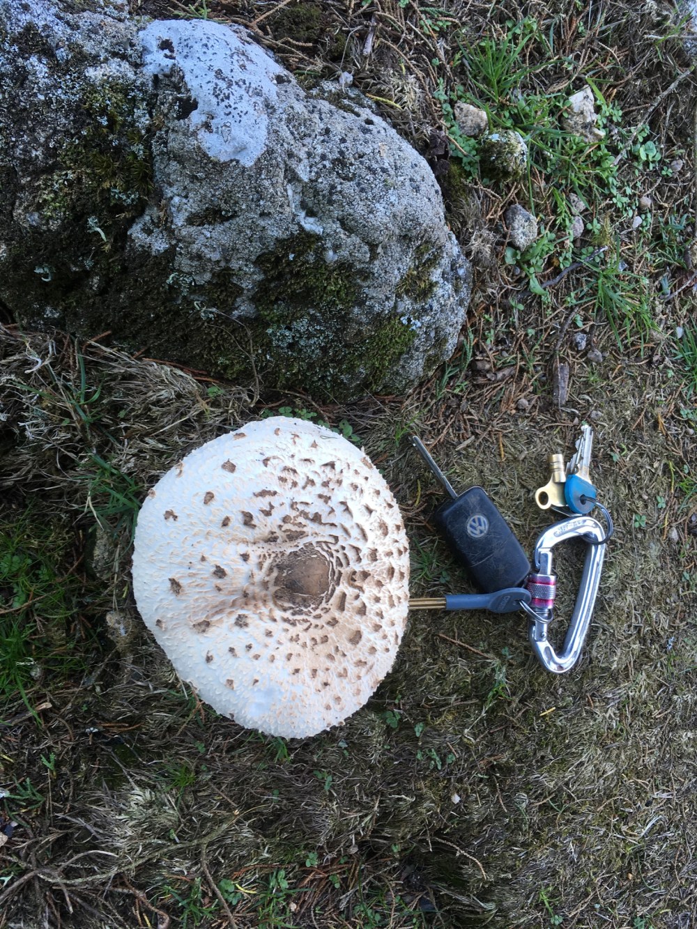 1C6BCD8B-1CF3-4D1E-A511-73597FE9CE09