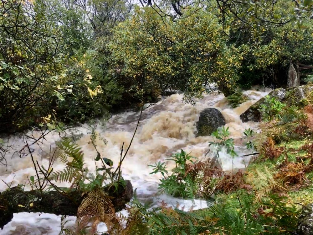 5EEA9EFD-8E82-4654-8986-EDC470325A6F