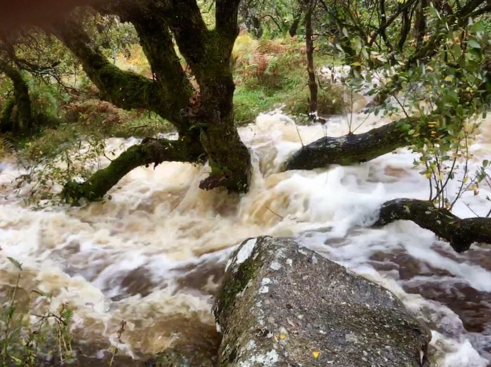 A1877E9A-1B7A-4A2C-9A96-4C9161D2B058