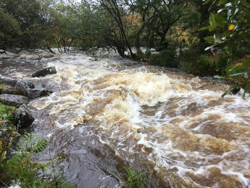 D3AE08CF-F800-4386-9724-6A2A15934A35