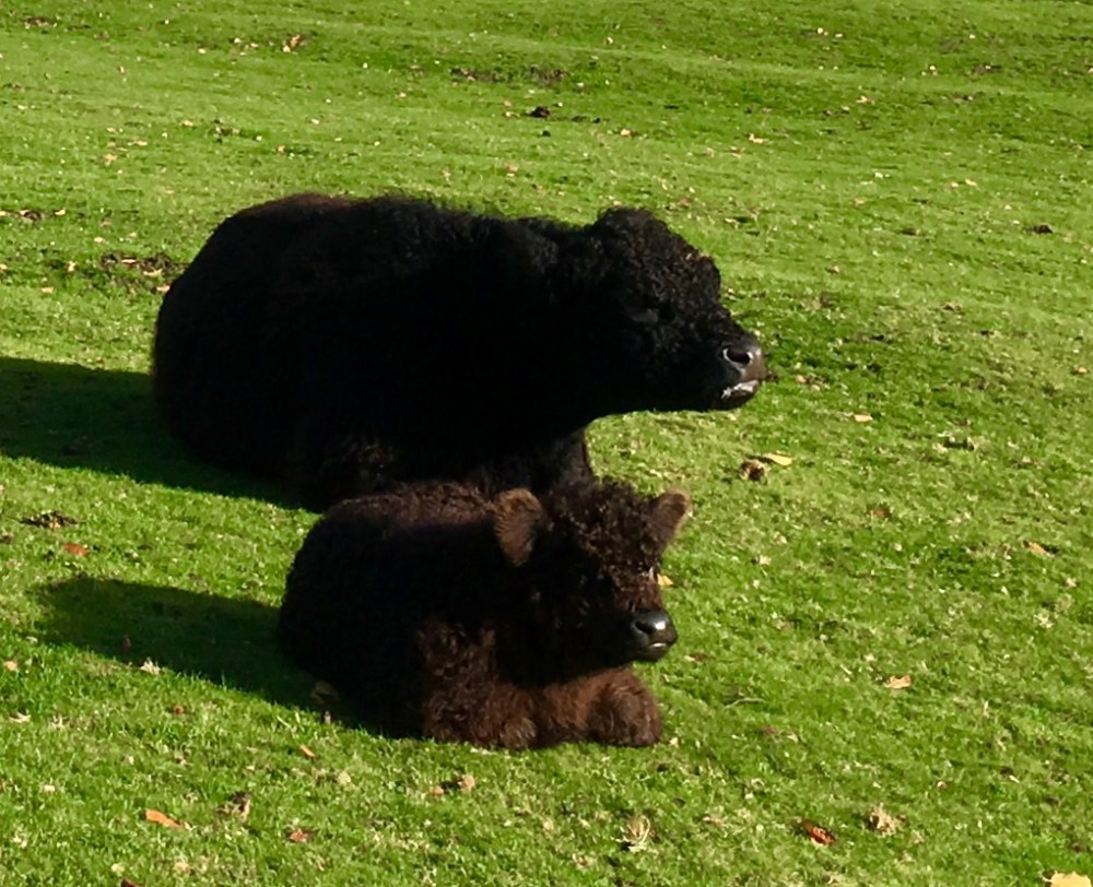 57F76B92-F589-44B5-BAA3-D532B3E8469A