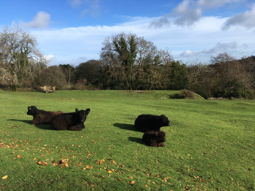 5C2D093E-0A39-47D7-BF22-DBA5FD7C7248