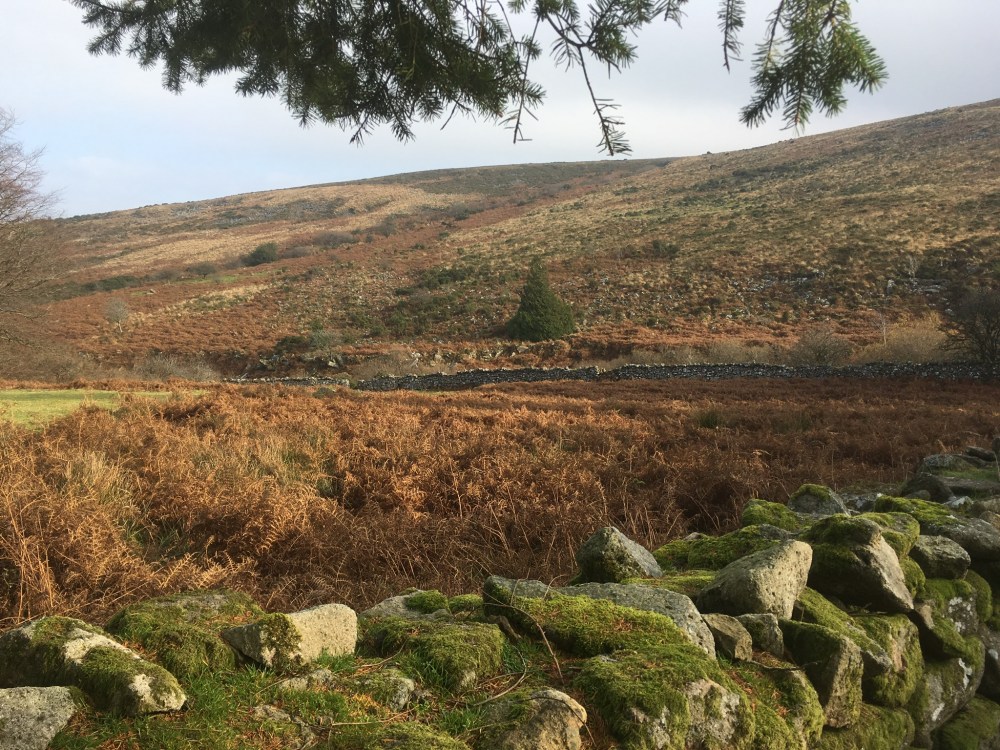 B42C0144-AF7E-448A-A43D-DA792874F9B0