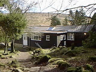 Awliscombe School – Bernard's Acre